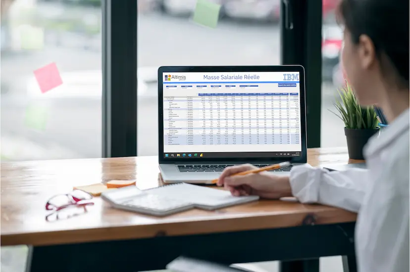 Interface IBM Planning Analytics