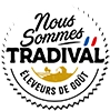 logo-tradival